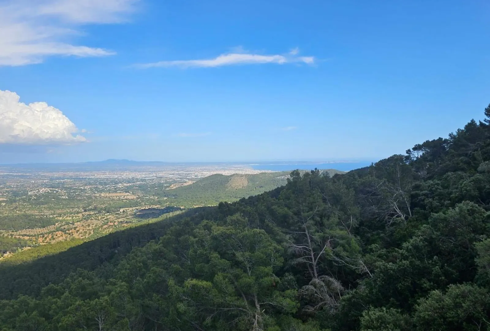 Finca Es Verger Coll De Tords Esporles Holiday home